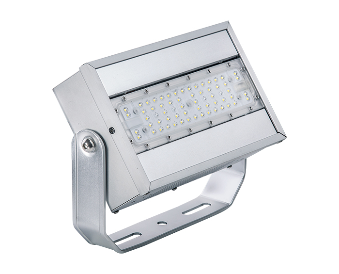 LED Flood Light