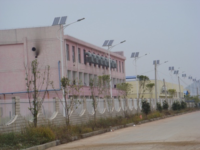 Solar Street Light in Cameroon