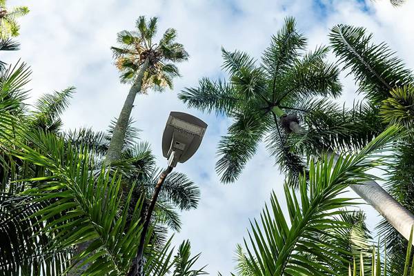 LED Garden Light Project In Colombia