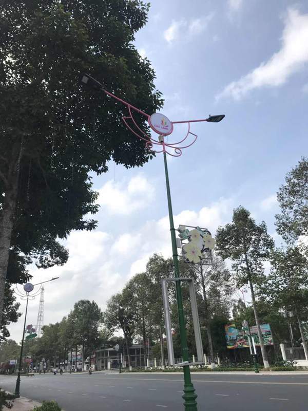 LED Street Light Project in Vietnam