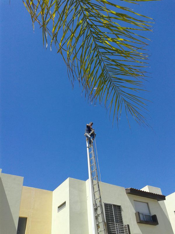 LED Street Light Project in Mexico