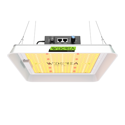 2017 HK international Lighting Fair（Spring Edition）