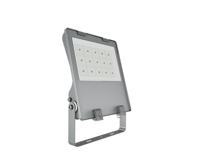 155lm Per Watt Waterproof LED Flood Light 100w