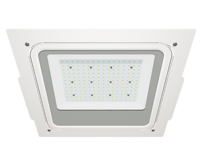 ATEX Multi-purpose Canopy Lights Outdoor