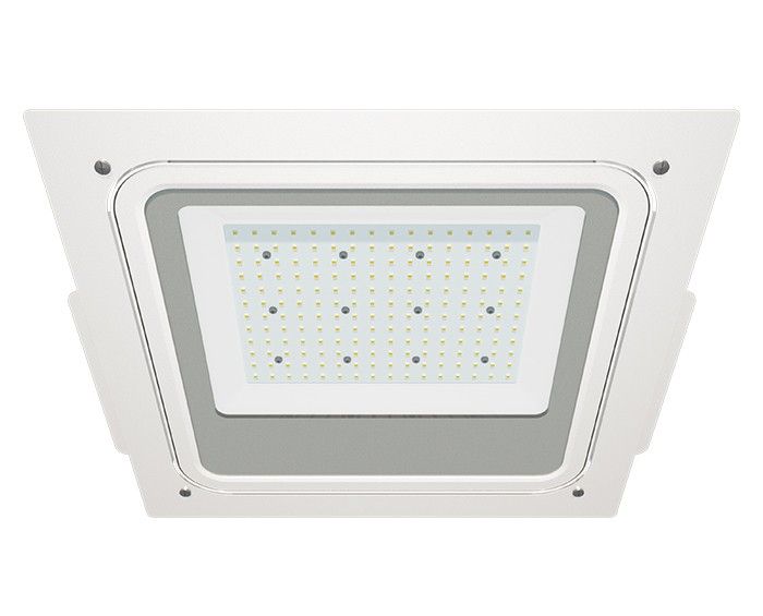 ATEX Multi-purpose Canopy Lights Outdoor