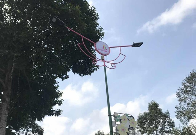 LED Street Light Project in Vietnam