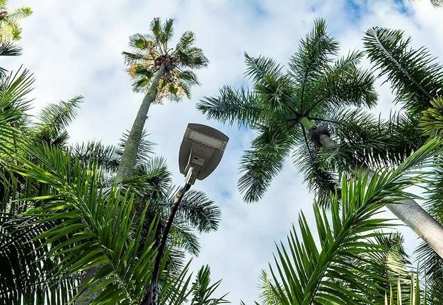 LED Garden Light Project In Colombia