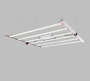 LED Grow Light