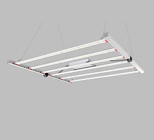 LED Grow Light